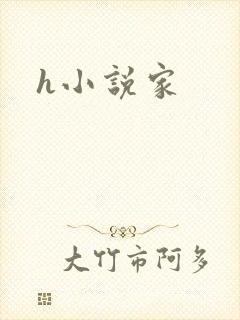 h小说家