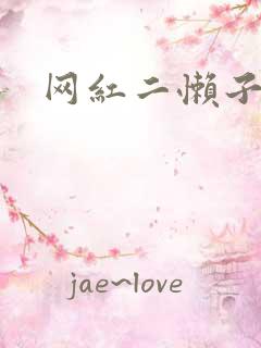 网红二懒子车祸