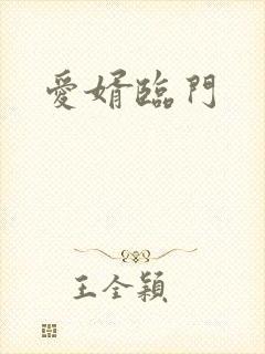 爱婿临门