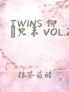 TWINS 柳澤兄弟 VOL.2