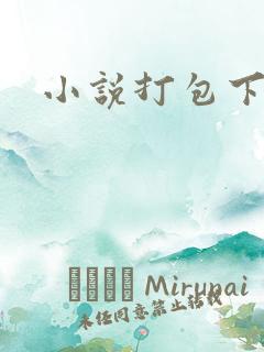 小说打包下载