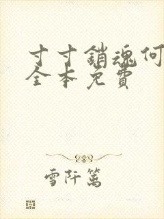 寸寸销魂何生祥全本免费