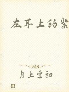 左耳上的紫水晶