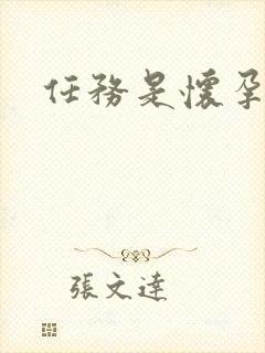 任务是怀孕系统