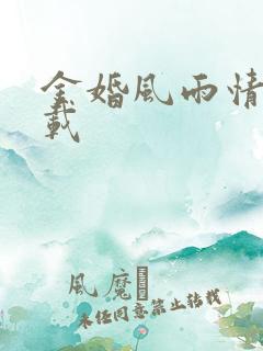 金婚风雨情 下载