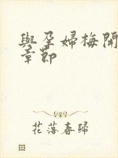 与孕妇梅开三度章节