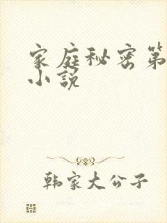 家庭秘密第3集小说
