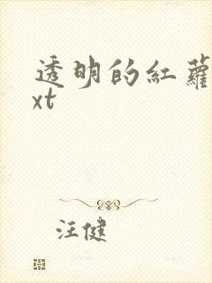 透明的红萝卜txt