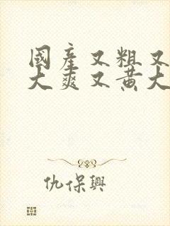 国产又粗又猛又大爽又黄大爷