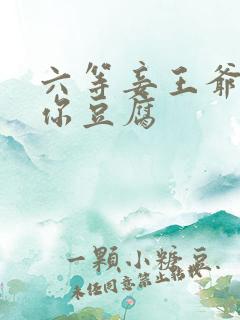 六等妾王爷吃光你豆腐