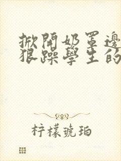 掀开奶罩边躁狠狠躁学生的小文字