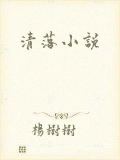 清落小说