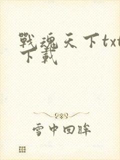 战魂天下txt下载