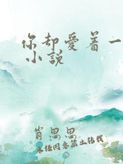 你却爱着一个他 小说