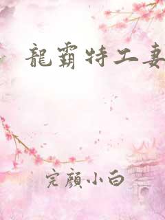 龙霸特工妻