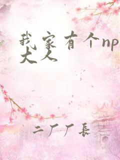我家有个npc大人