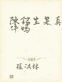 陈铭生是真实事件吗