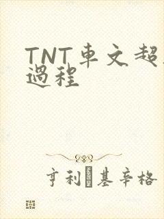 TNT车文超细过程