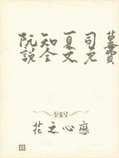 阮知夏司暮寒小说全文免费无弹窗