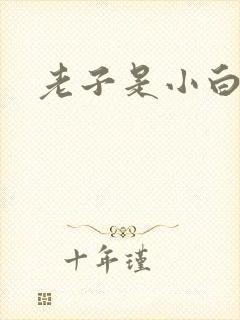 老子是小白脸