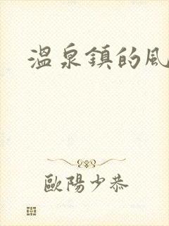 温泉镇的风流事