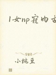 1女np宠肉古