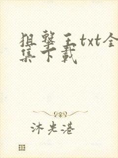 狙击王txt全集下载