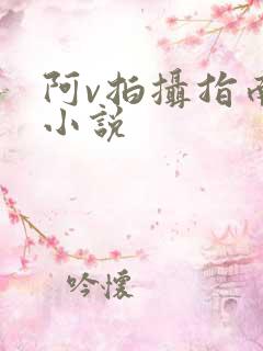 阿v拍摄指南说小说