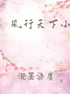 风行天下小说
