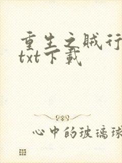 重生之贼行天下txt下载