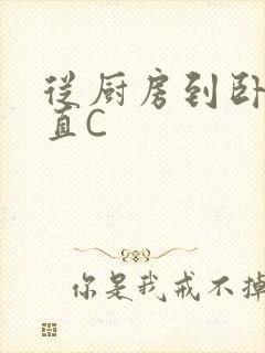 从厨房到卧室一直C