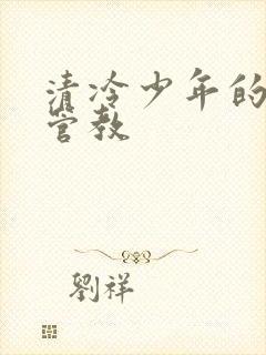 清冷少年的严厉管教