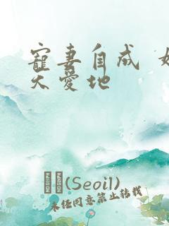 宠妻自成  婚天爱地