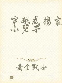 穿越成杨家将最小儿子