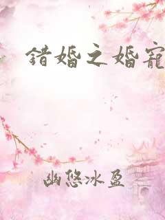 错婚之婚宠一世