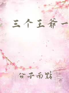 三个王爷一个妃
