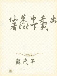 仙墓中走出的强者txt下载