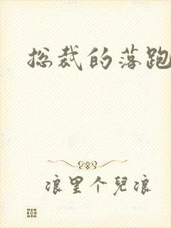 总裁的落跑情人