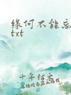 缘何不能忘记你txt