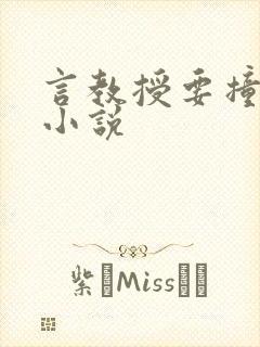 言教授要撞坏了小说