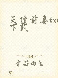 天价前妻txt下载