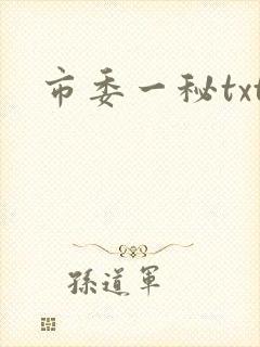 市委一秘txt