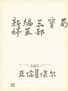 新编三宝局长许婷五部