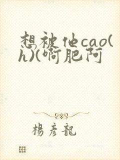 想被他cao(h)(啊肥阿