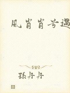 风肖肖兮遇子期