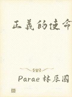 正义的使命小说