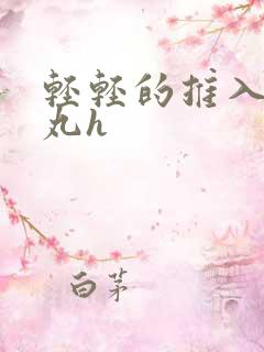 轻轻的推入合欢丸h