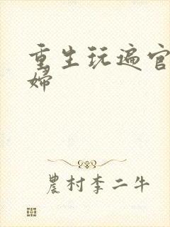 重生玩遍官场贵妇