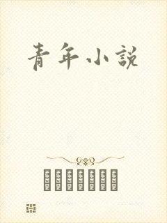 青年小说