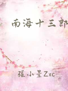 南海十三郎小说